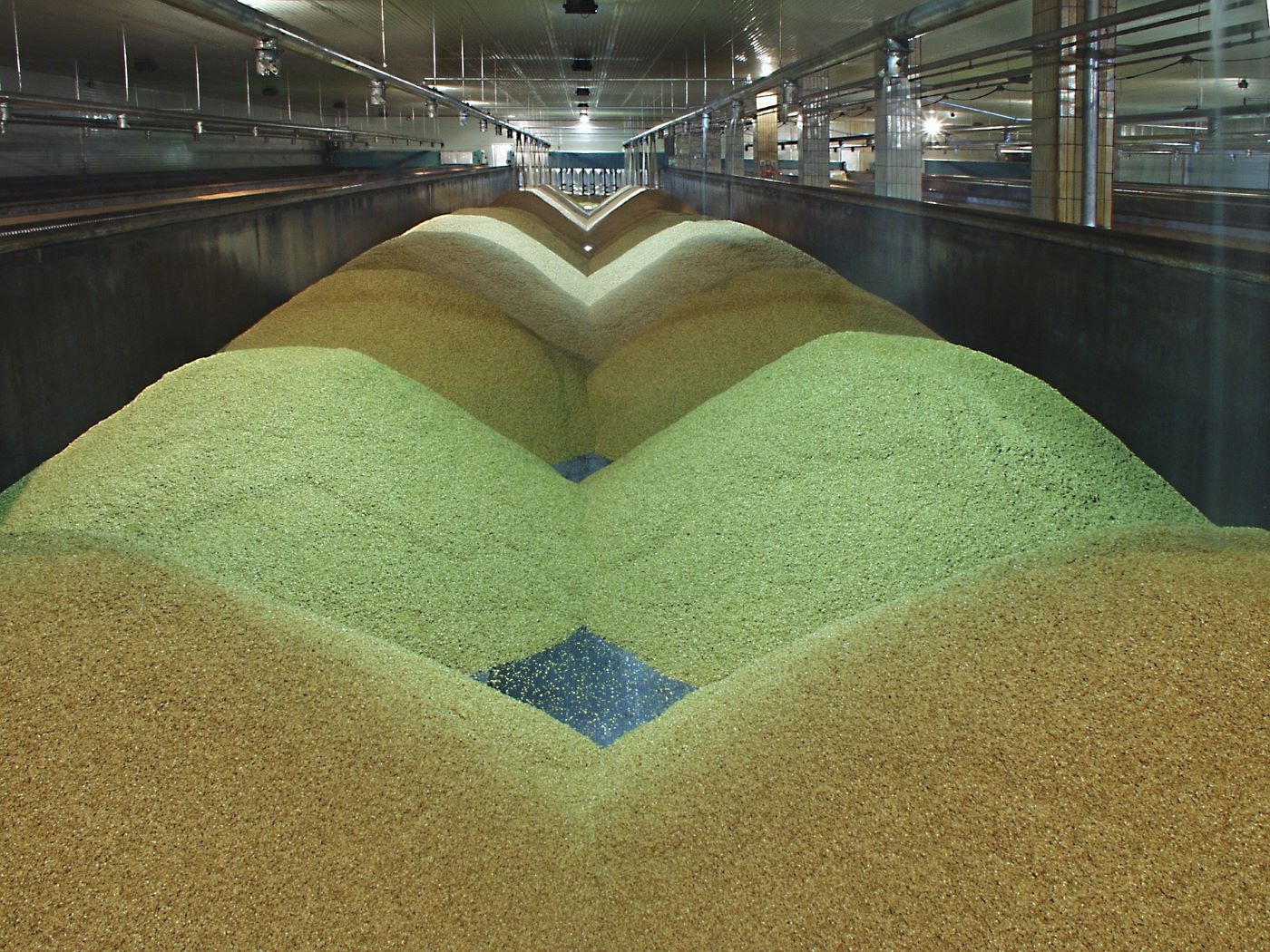 the-malting-process-2679997__340